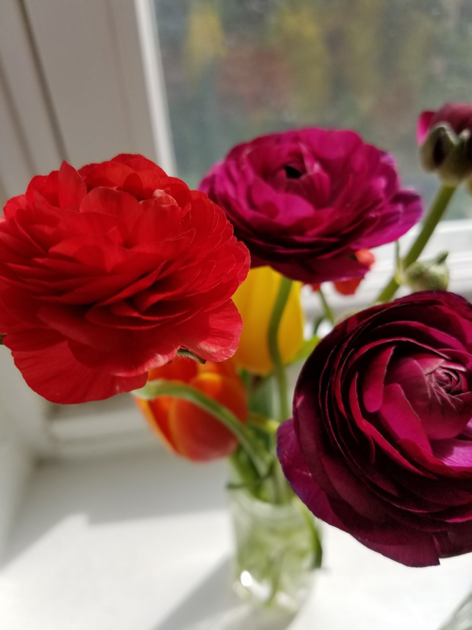 zS8WMa78-L_bgZb7wODN5YTsWpdFEJb3Dk1MygXXmw4pX92IB